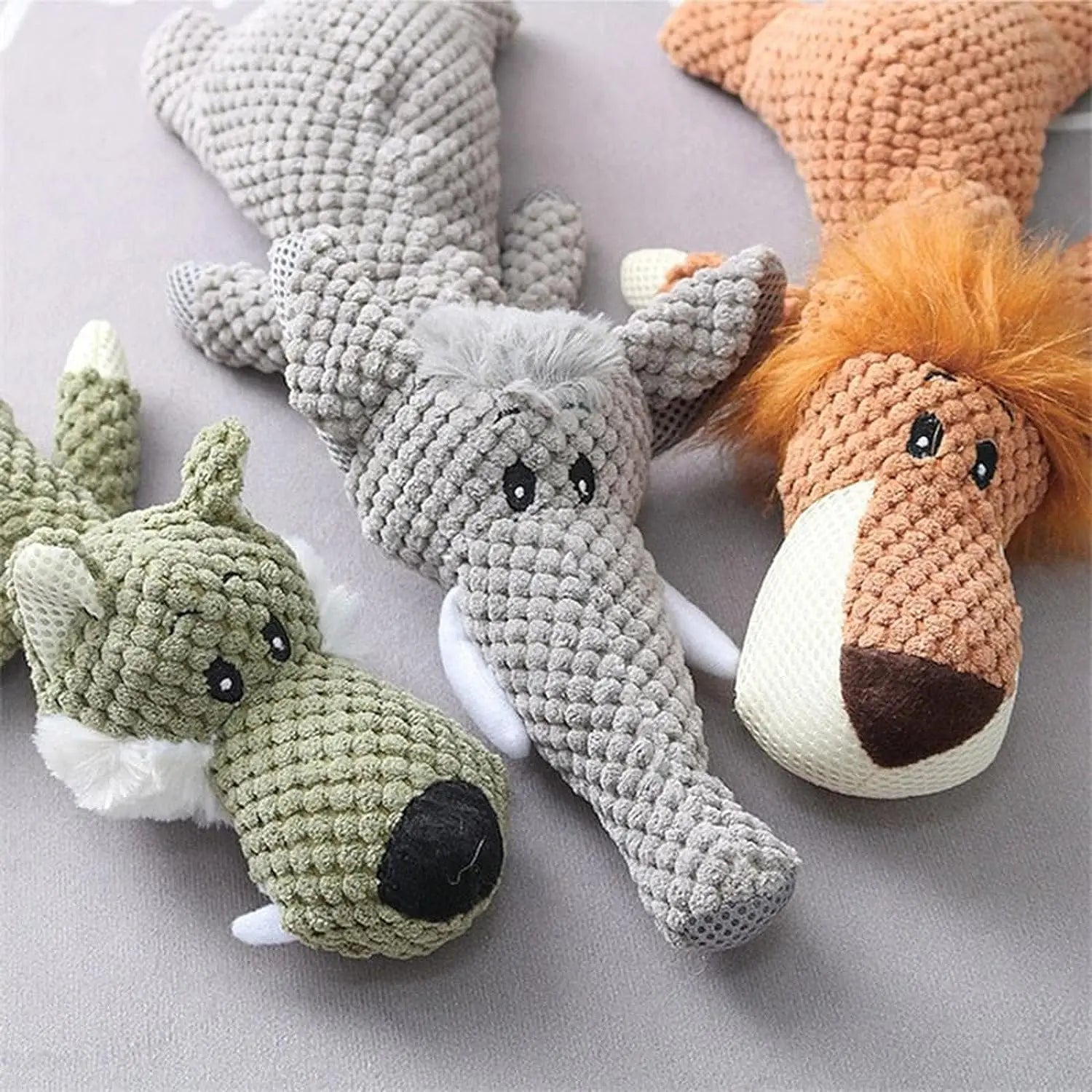 Verjaardag cadeau hond en baasje – Samen feest vieren
