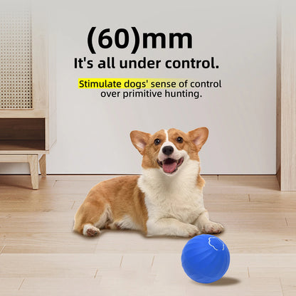 Luxe traktatiebox voor hond – Voor zijn speciale dag