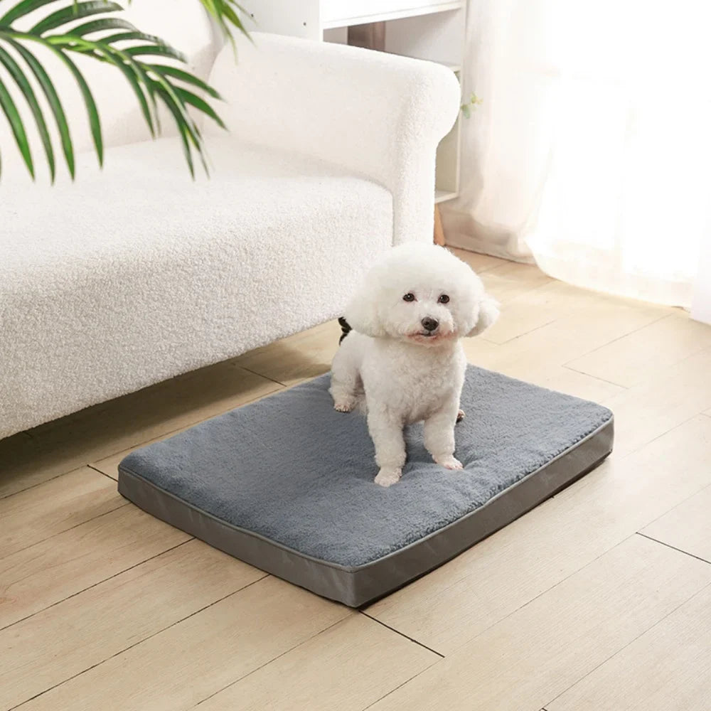 Welkoop mand voor middelgrote hond – Comfort en pasvorm