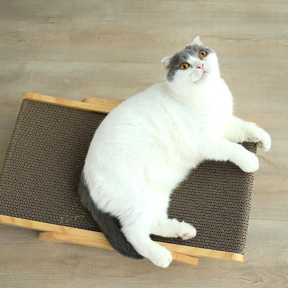 Krabpaal Maine Coon – Sterk en stabiel ontwerp
