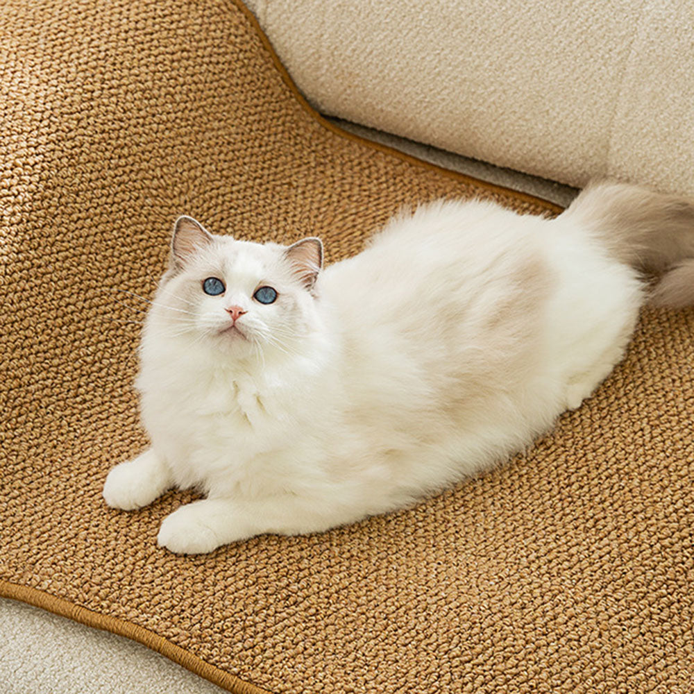 Kattenmand – Comfortabele slaapplek voor je kat
