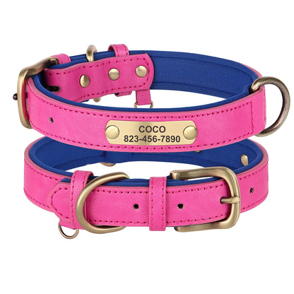 Stevig honden tuigje met metalen ring – Voor sterke honden