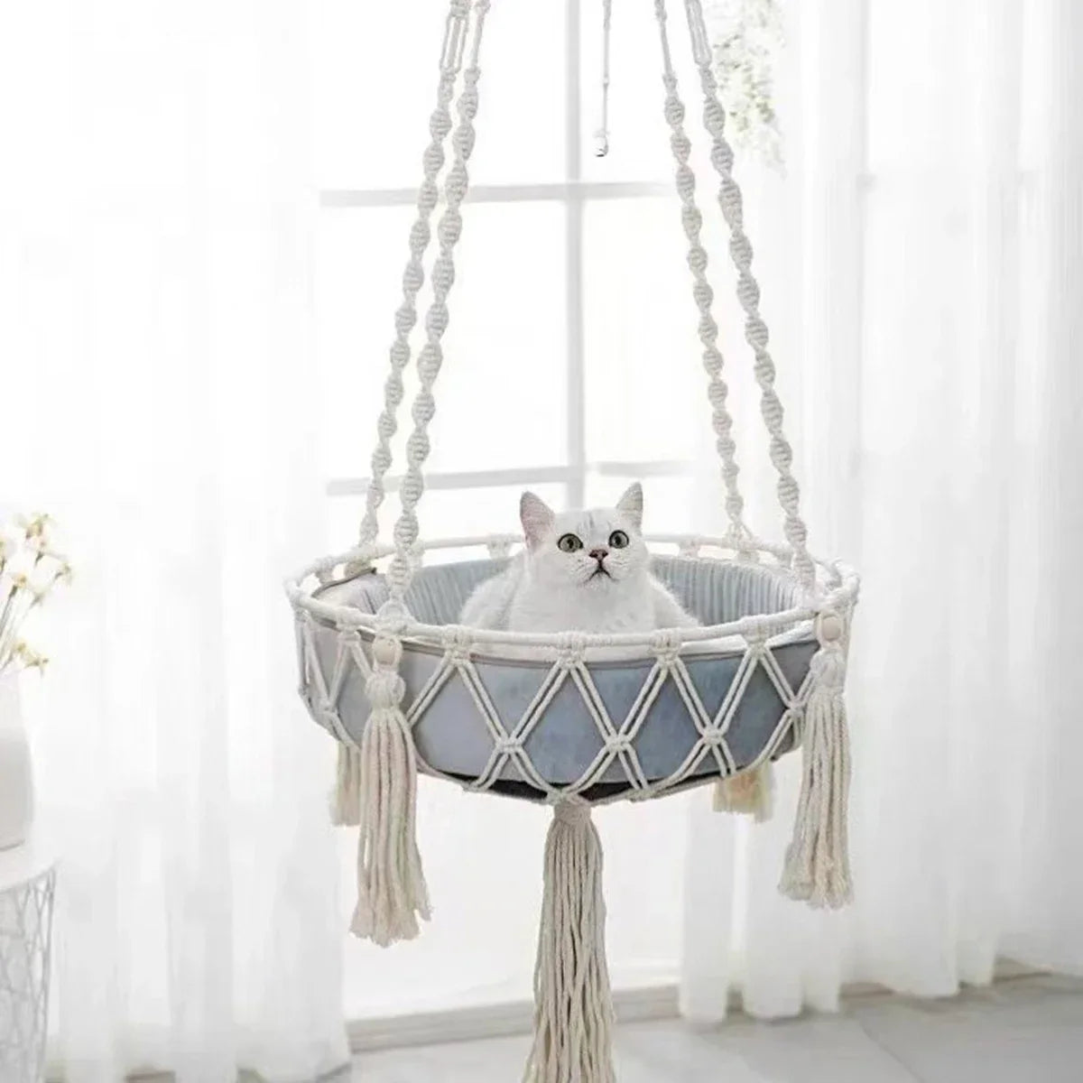 Kattenmand in Scandinavisch design – Modern en minimalistisch