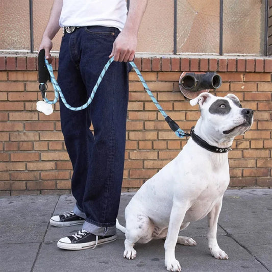 Cadeau hond verjaardag compleet – Van snacks tot speeltjes