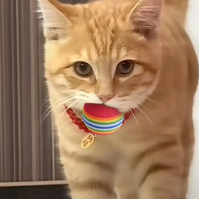 Leukste kattenspeeltje van het jaar – Getest en goedgekeurd