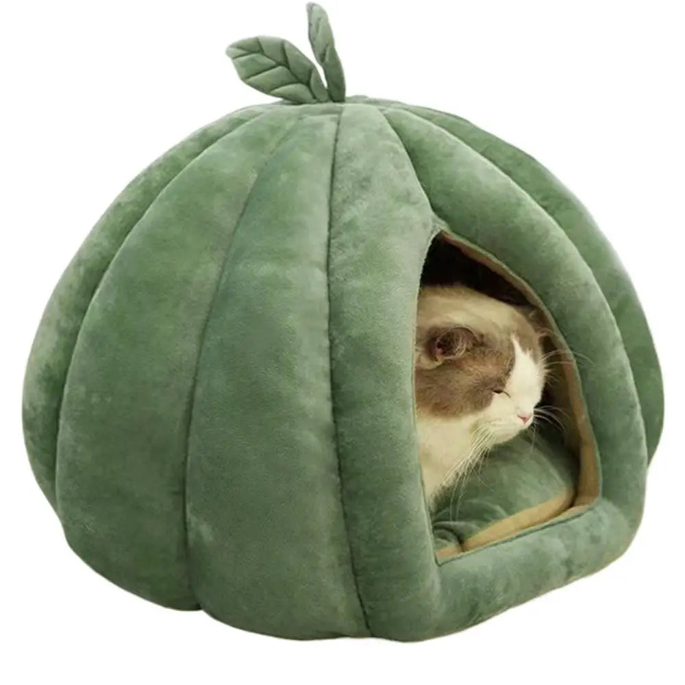 Kattenmand in mandvorm – Natuurlijk en decoratief