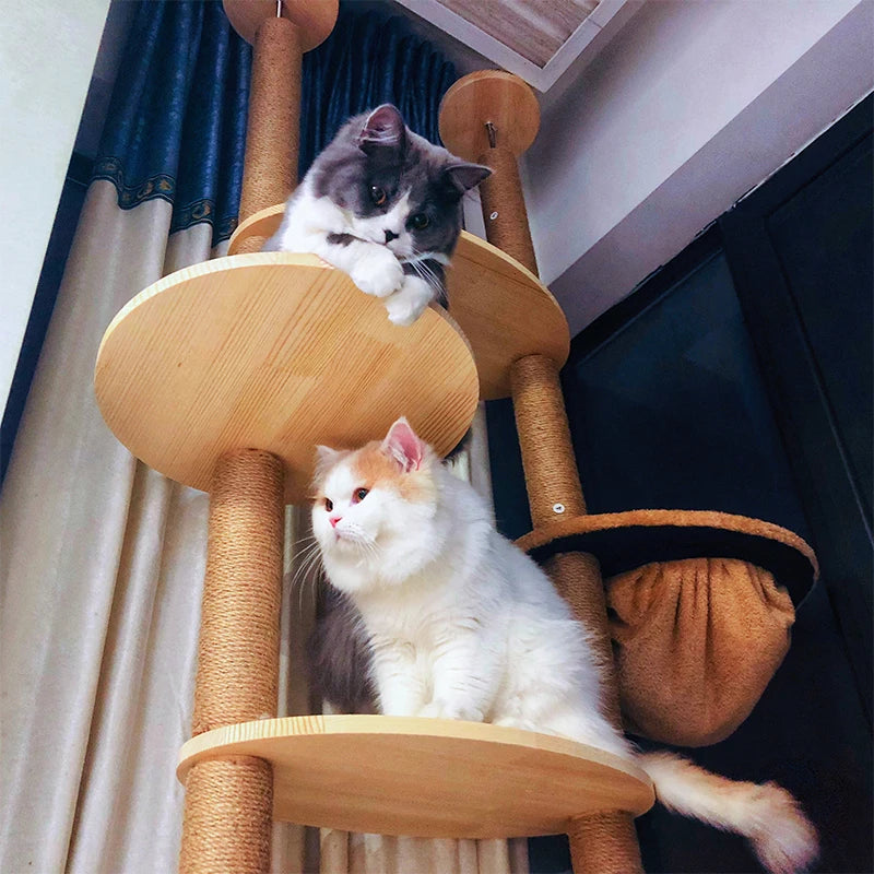 Hoge design krabpaal voor grote katten – Volledig speelparadijs
