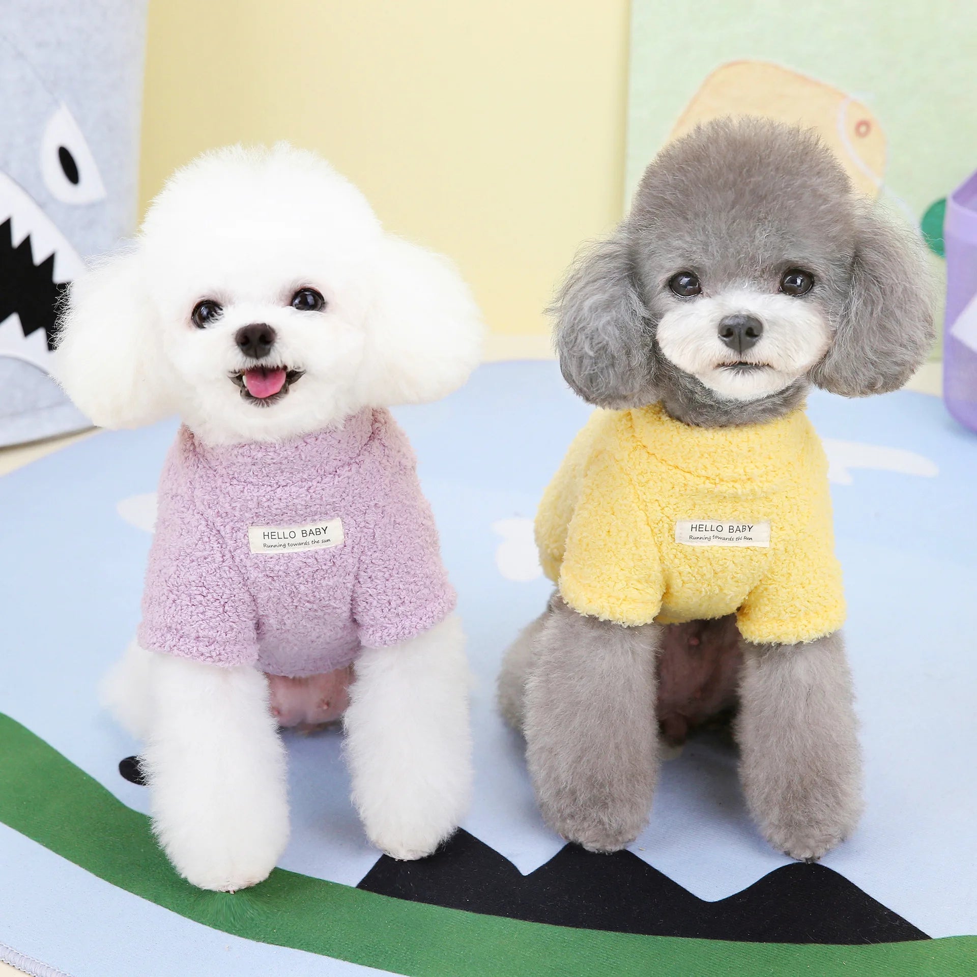 DIY cadeau voor hond – Zelfgemaakt en liefdevol