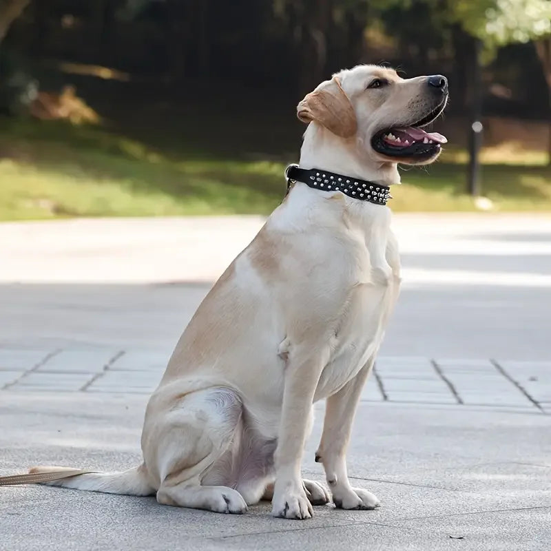 Zacht tuigje hond met brede banden – Comfort zonder knellen