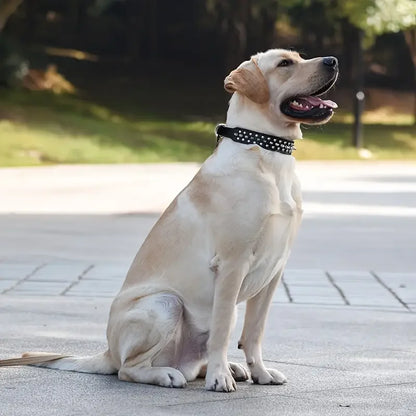 Zacht tuigje hond met brede banden – Comfort zonder knellen