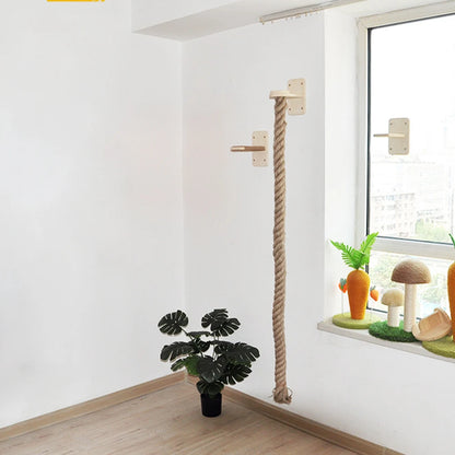 Krabpaal voor zware katten – Extra stabiel en groot