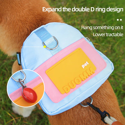 Cadeau hond verjaardagset – Compleet met feestmuts