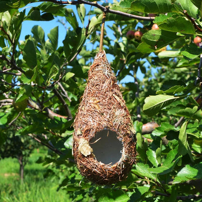 Vogelhuisje op paal – Perfect zicht op bezoekers