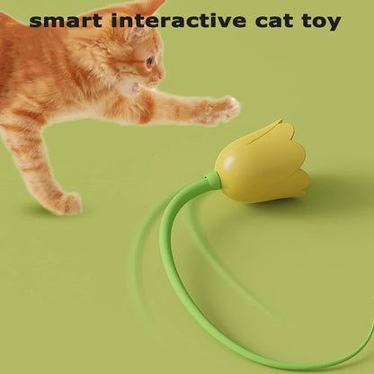 Leukste kattenspeeltjes met pluche – Zacht en schattig