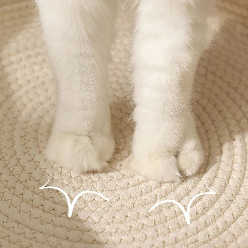Verwarmde kattenmand – Ideaal voor de winter