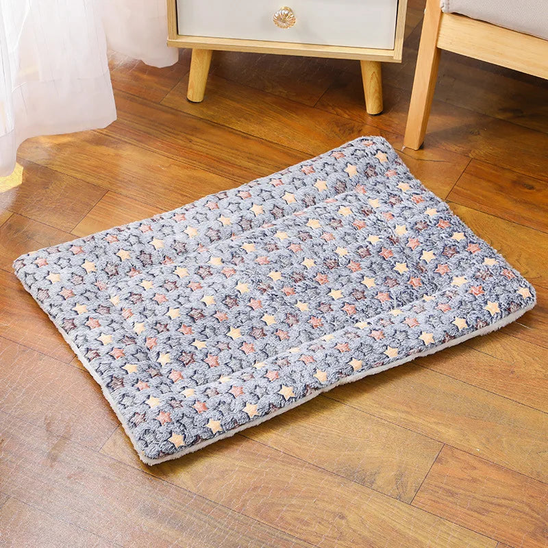 Kattenmand Action met comfortabel ligvlak – Simpel en doeltreffend