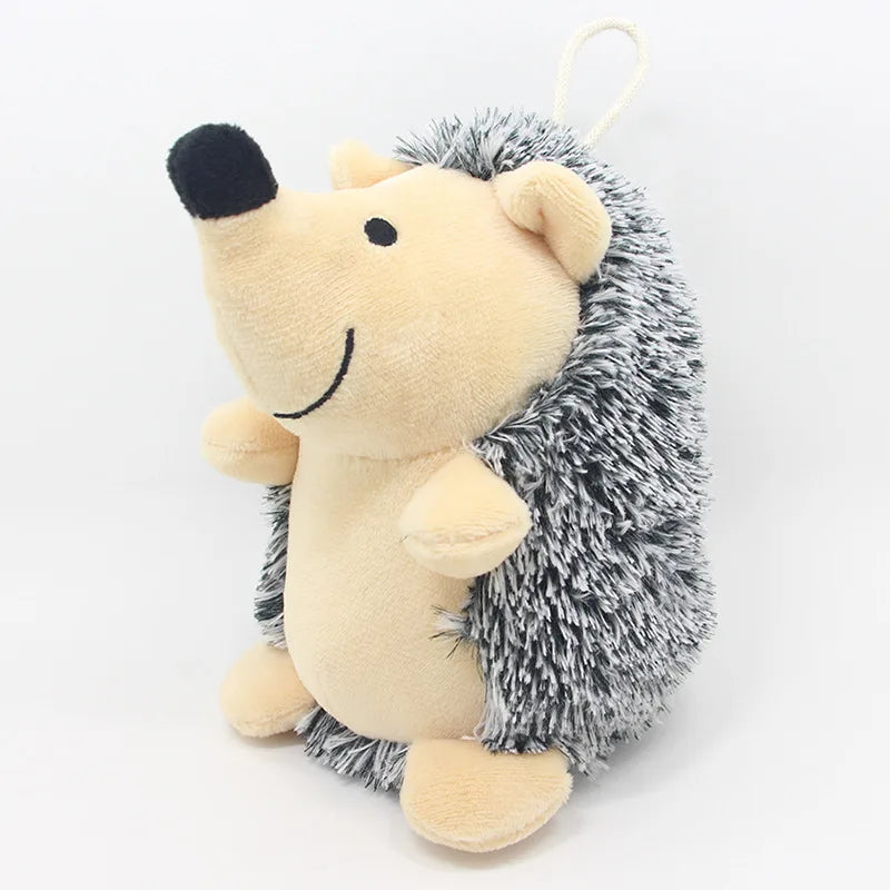 Puppy cadeau verjaardag – Veilig en vrolijk