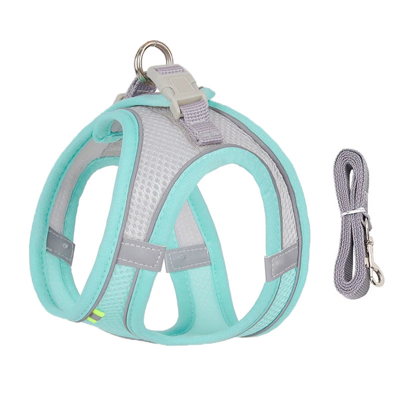 Cadeau hond en baasje set – Samen in stijl