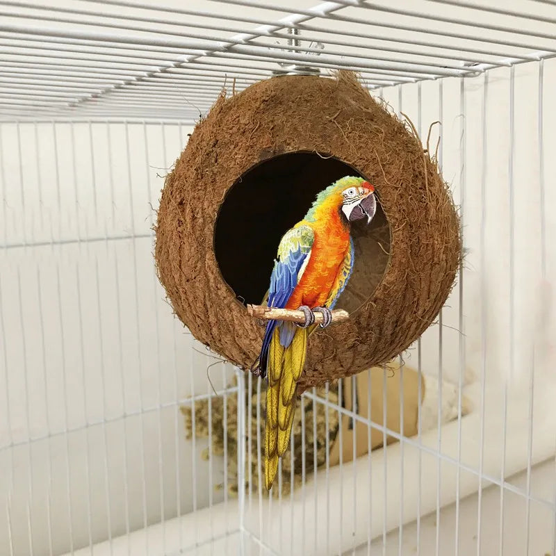 Vogelhuisje op paal voor grote tuin – Goed zichtbaar