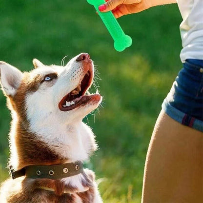 Cadeau hond met speeltjes – Spelen, bijten, genieten