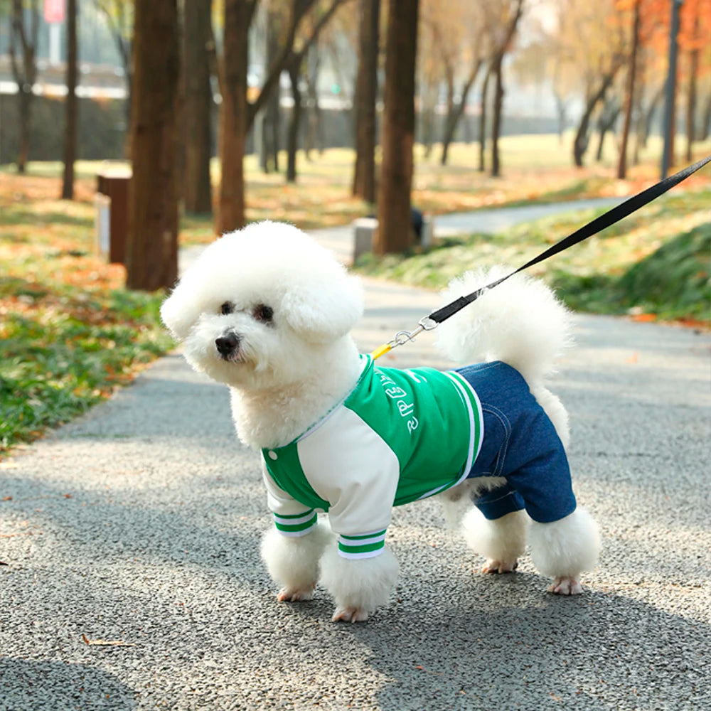 Luxe honden cadeau – Stijlvol en bijzonder