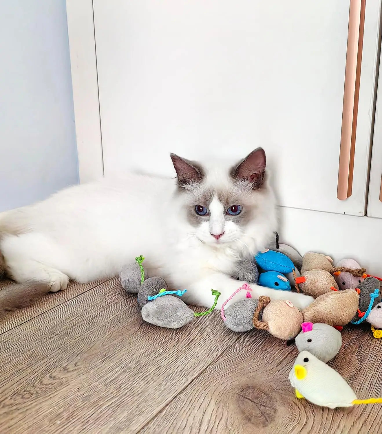 Katten speelgoed met licht – Voor nachtelijke jacht