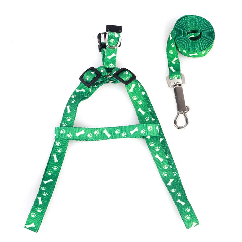 Tuigje Action maat S – Voor kleine rassen en puppy's