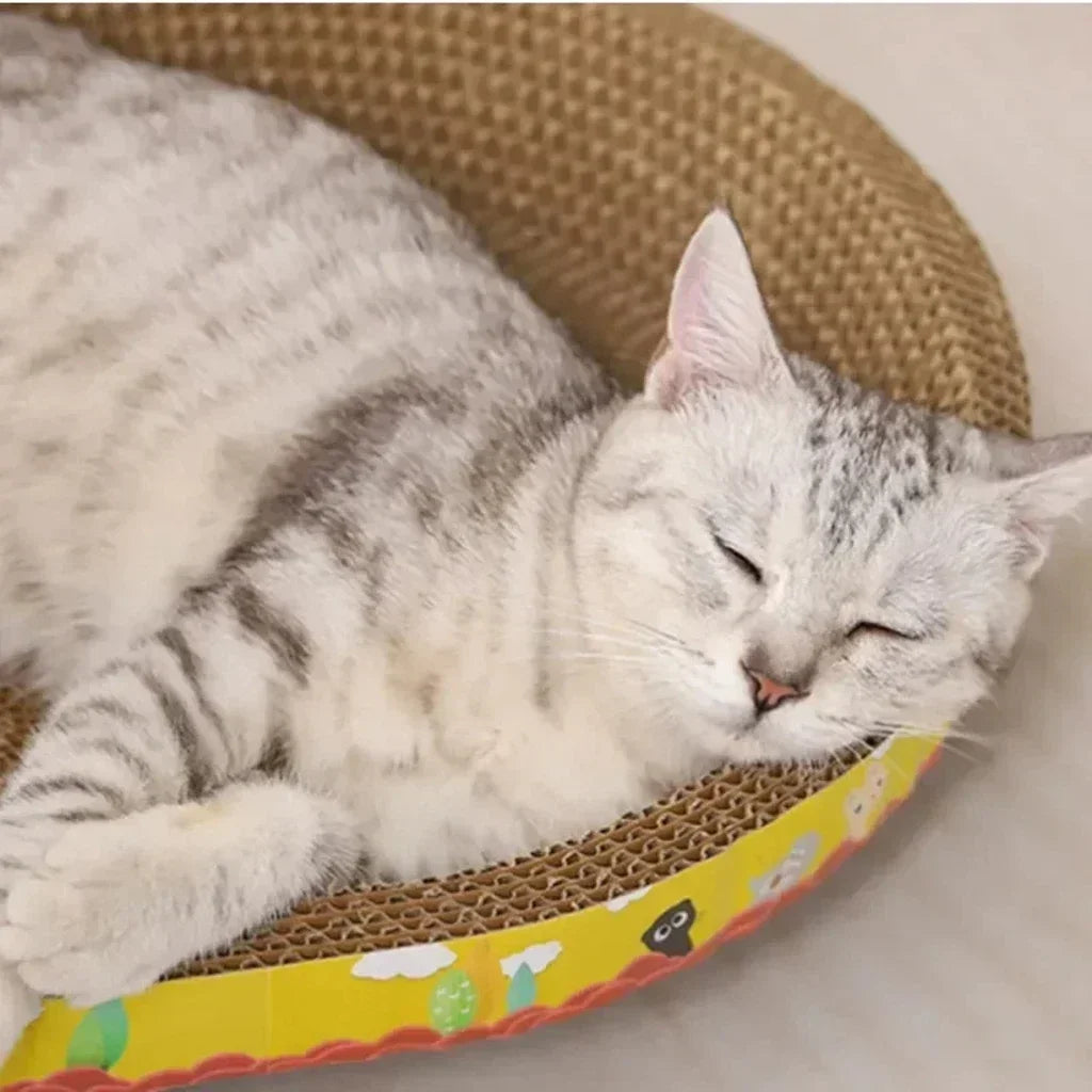 Krabpaal voor Maine Coon met stevige palen – Speciaal versterkt