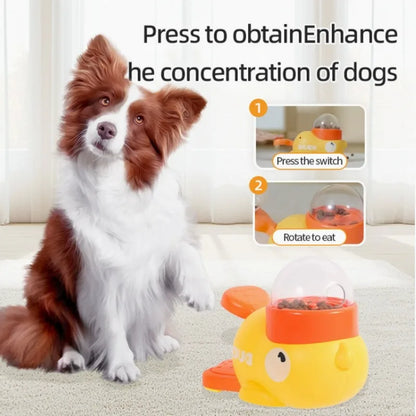 Cadeautips hond verjaardag – Inspiratie voor je beste vriend
