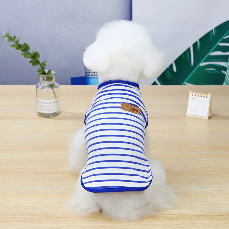 Cadeautips hond verjaardag – Inspiratie voor je beste vriend