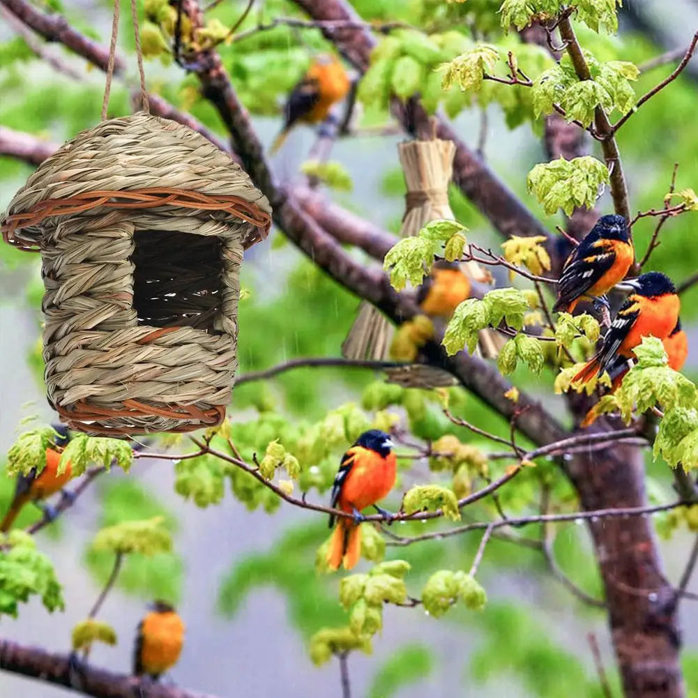 Action vogelhuisje DIY – Bouw zelf een huisje