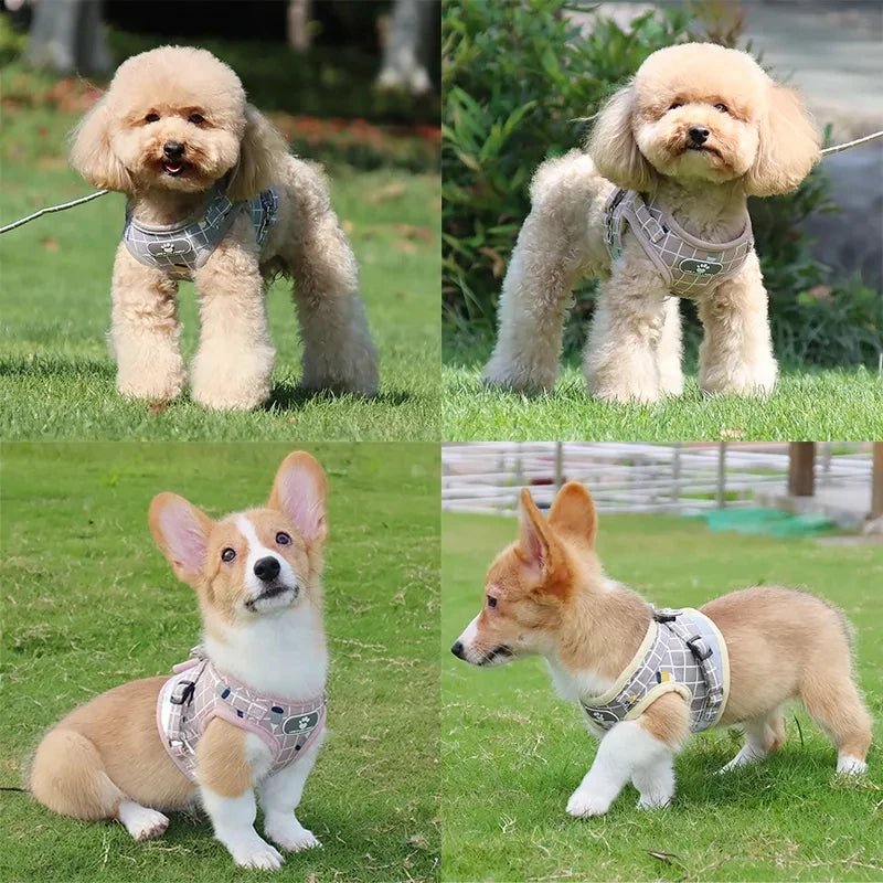 Verstelbaar tuigje voor honden – Past altijd perfect