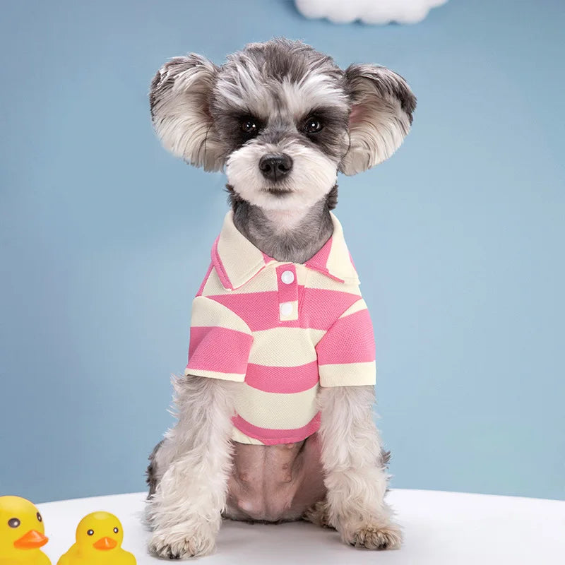 Cadeau hond verjaardag persoonlijk – Uniek en doordacht