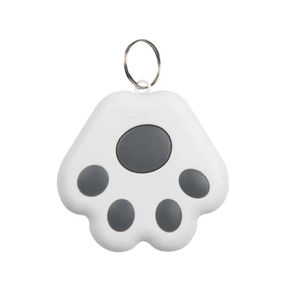 Cadeaupakket hond met ballen en snacks – Spelen en snoepen
