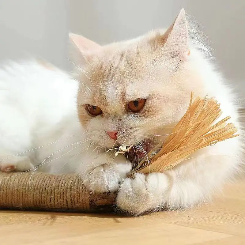Kattenspeeltjes voor in de krabpaal – Speel en krab tegelijk