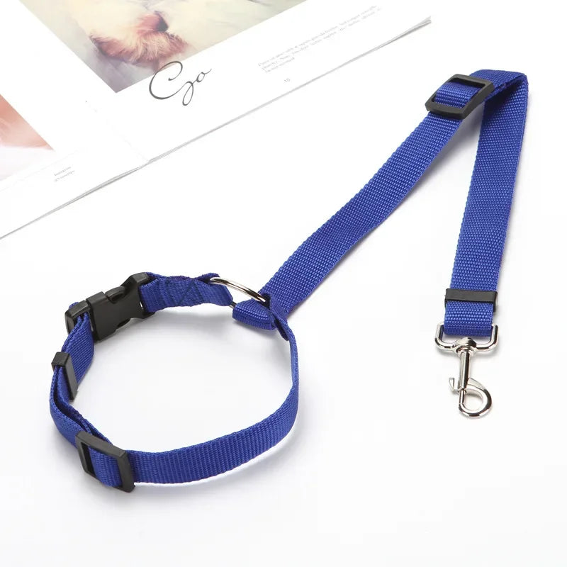 Tuigje honden met klikbevestiging – Stevig en betrouwbaar