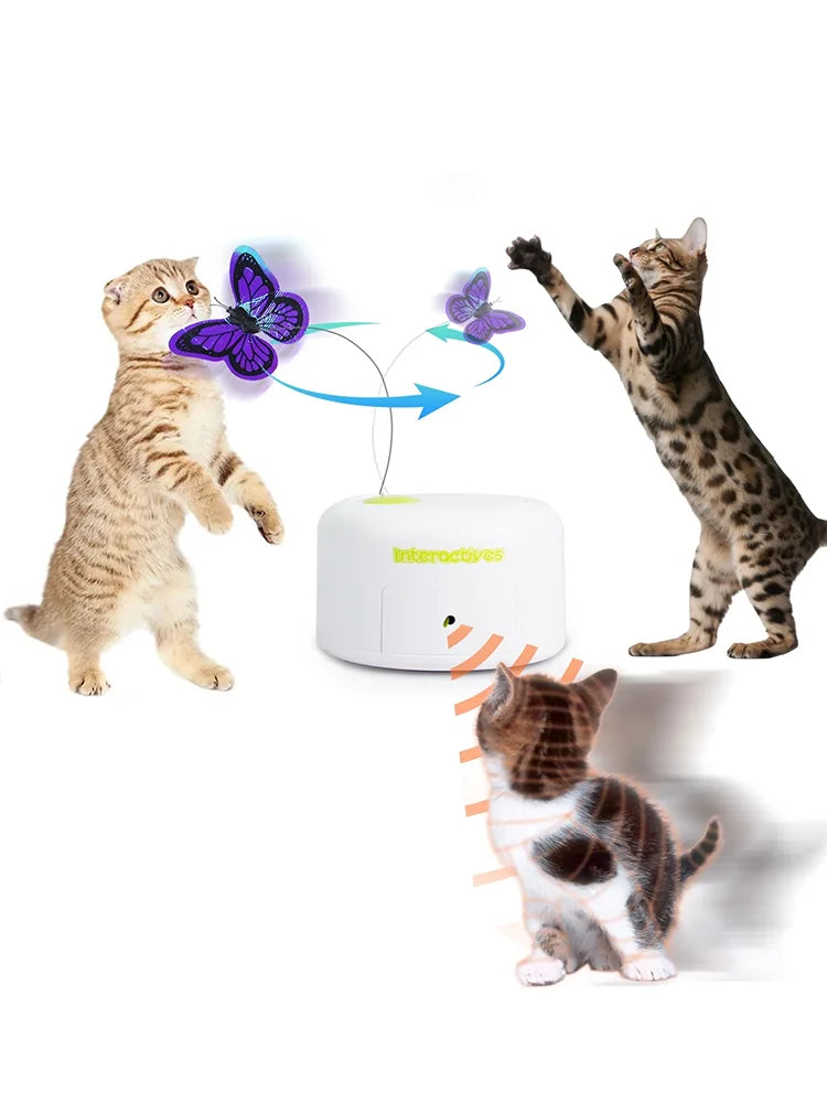 Kattenspeelgoed met LED-licht – Voor jacht in het donker