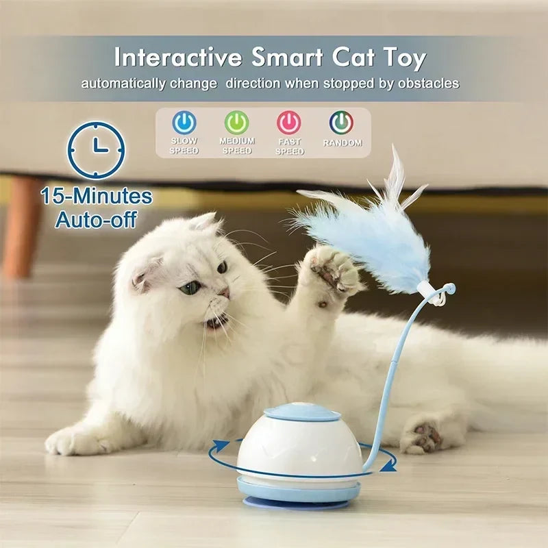 Kattenspeeltjes met elastische band – Voor extra actie