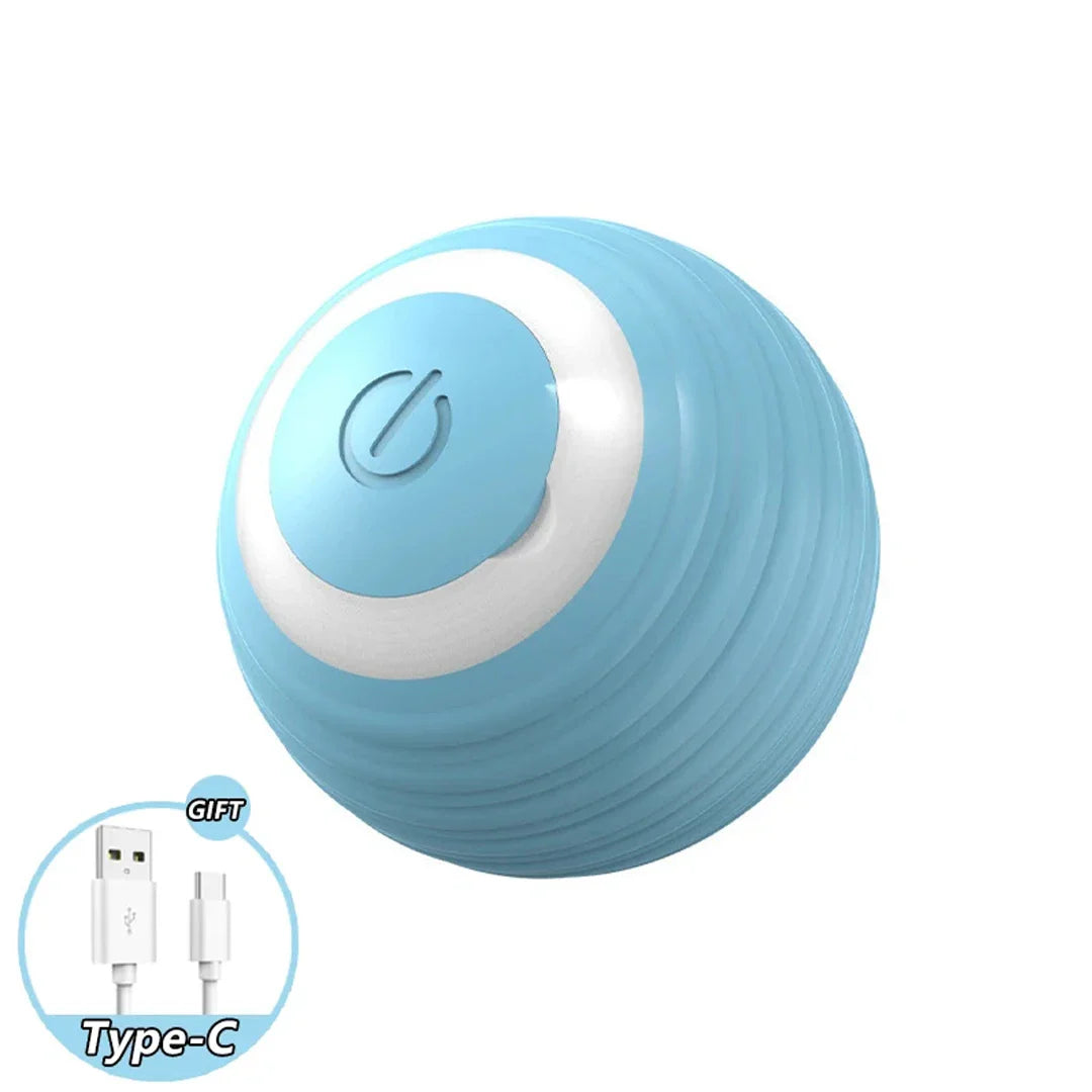 Kattenspeeltjes met elastische band – Voor extra actie
