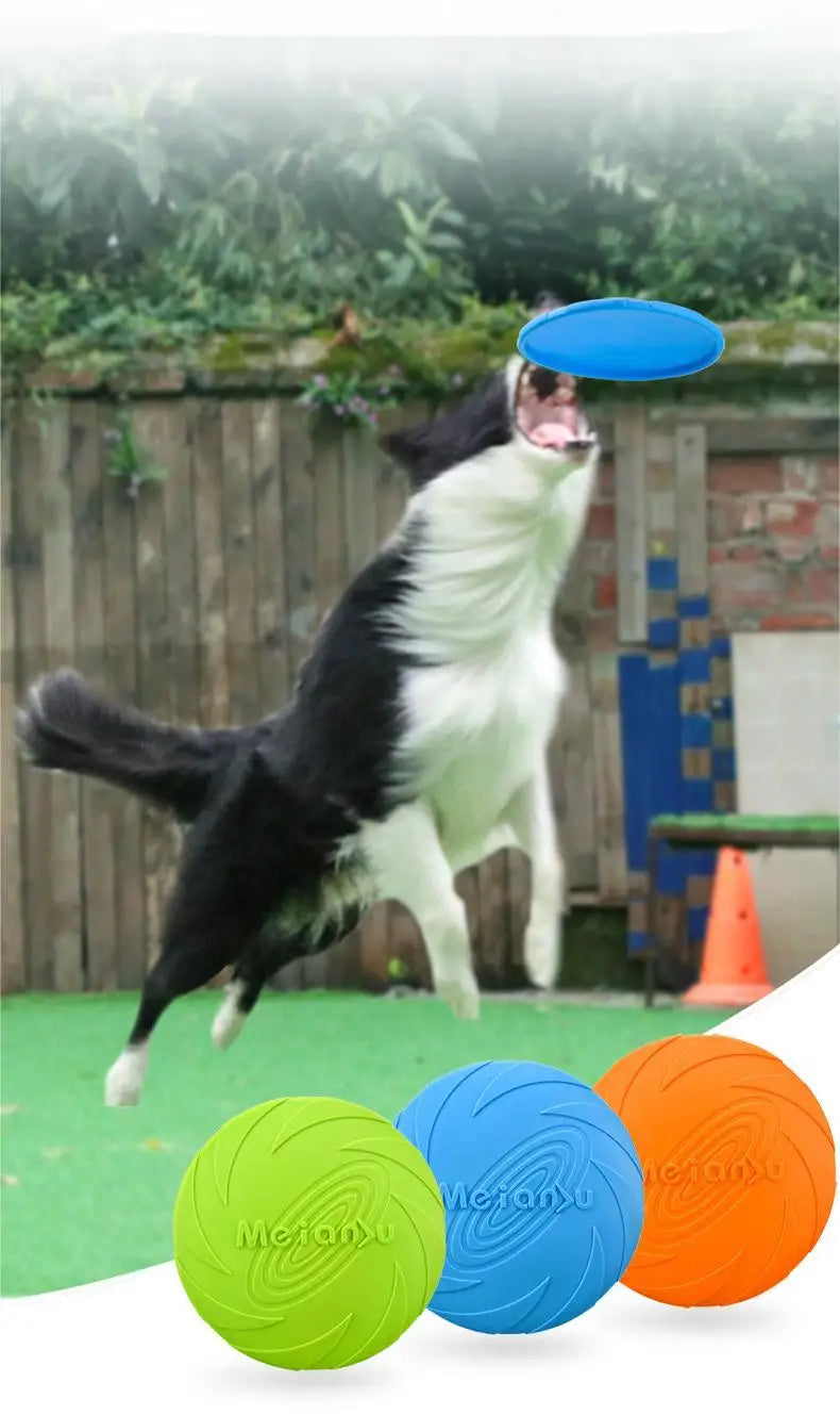 Cadeau voor hond en mens – Duo plezier