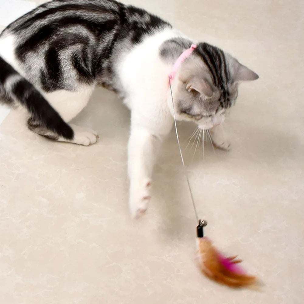 Kattenspeeltje met catnip – Extra aantrekkelijk