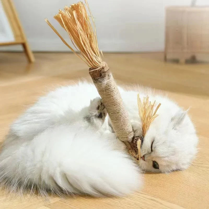 Katten speeltjes set – Alles in één pakket
