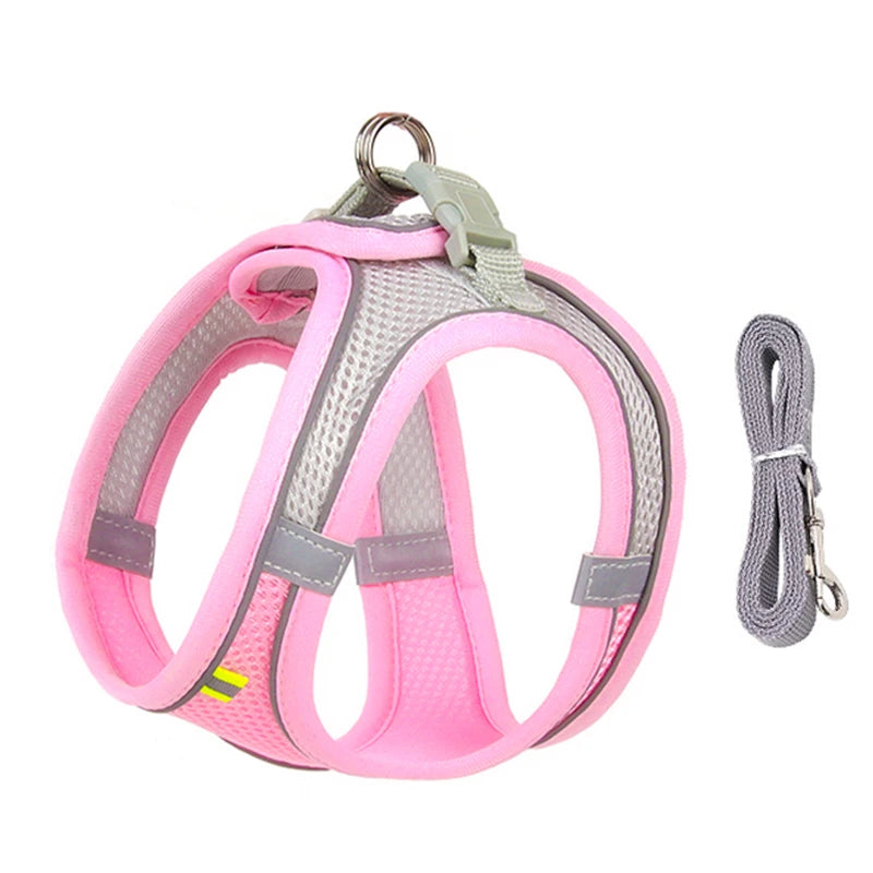 Cadeau hond met naam – Gepersonaliseerd en uniek