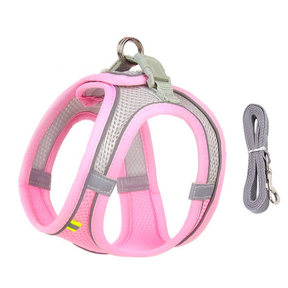 Cadeau hond met naam – Gepersonaliseerd en uniek