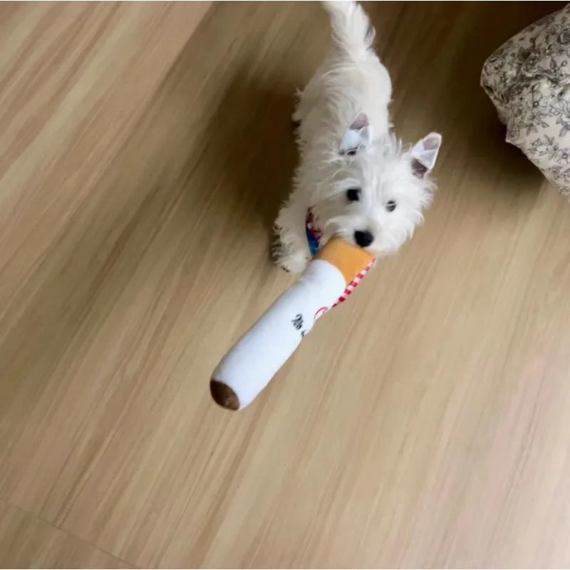 Cadeaupakket hond met ballen en snacks – Spelen en snoepen