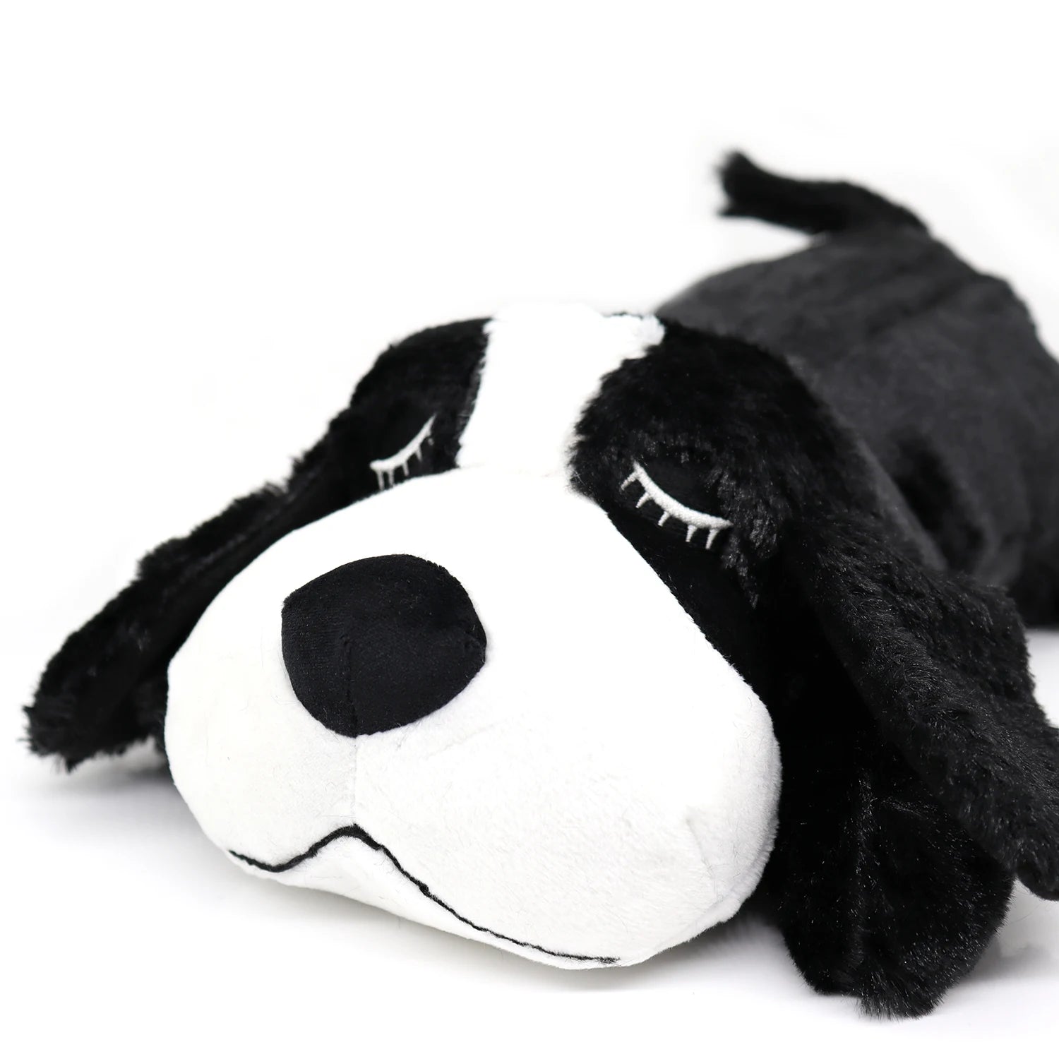 Samen cadeau voor hond en eigenaar – Verbonden plezier
