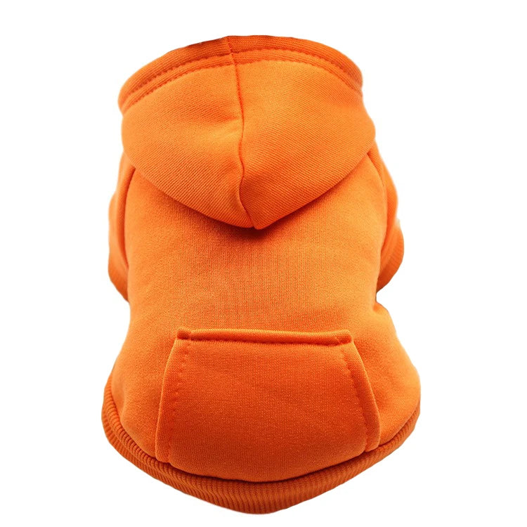 Samen cadeau voor hond en eigenaar – Verbonden plezier