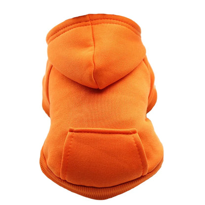 Samen cadeau voor hond en eigenaar – Verbonden plezier