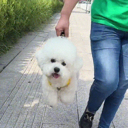 Tuigje honden met klikbevestiging – Stevig en betrouwbaar