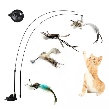 Kattenspeeltjes Action schattig en goedkoop – Perfect voor kittens